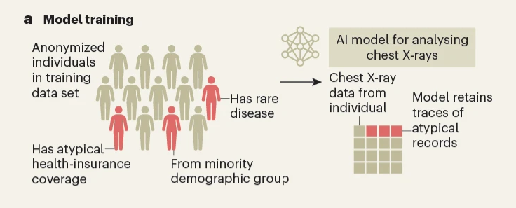 Privacy risks from medical AI tools are not shared equally