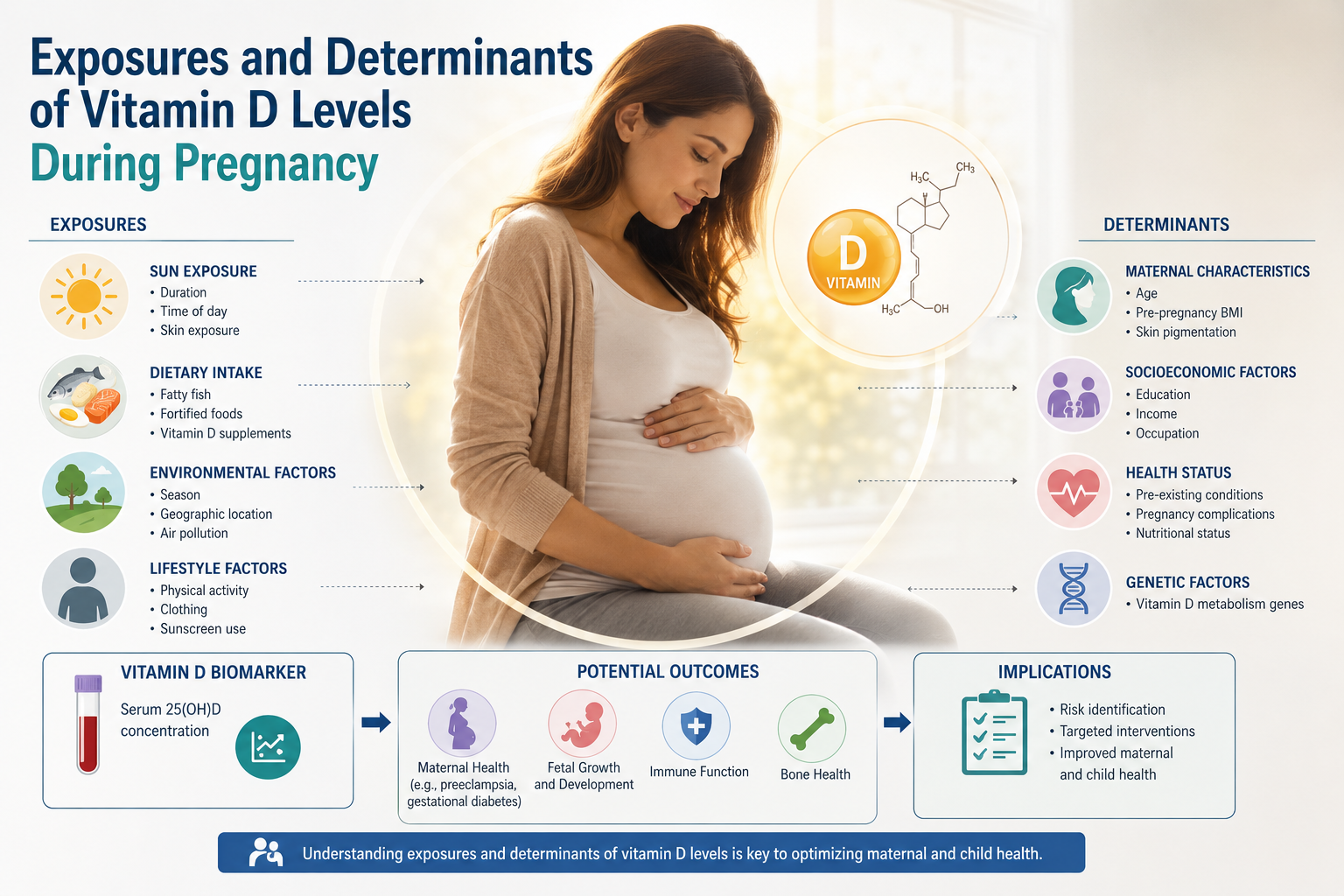 Exposures and Determinants of Vitamin D Levels During Pregnancy project image