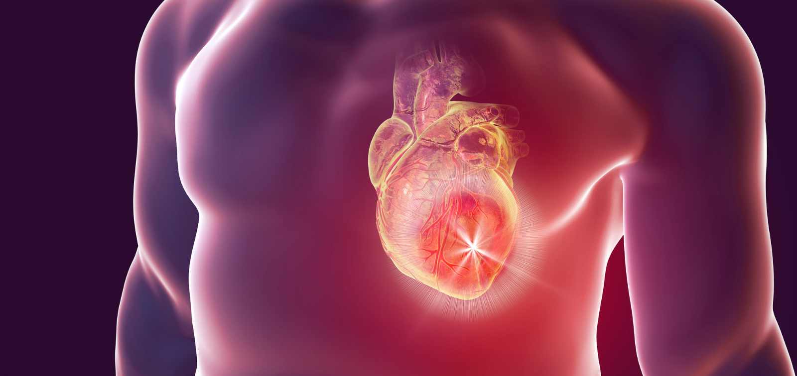 CardioGPT