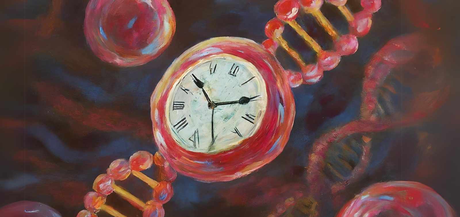 Epigenetic clock project image
