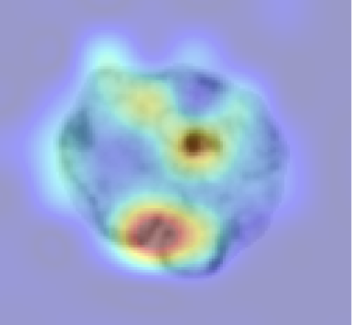 Multimodal Data
