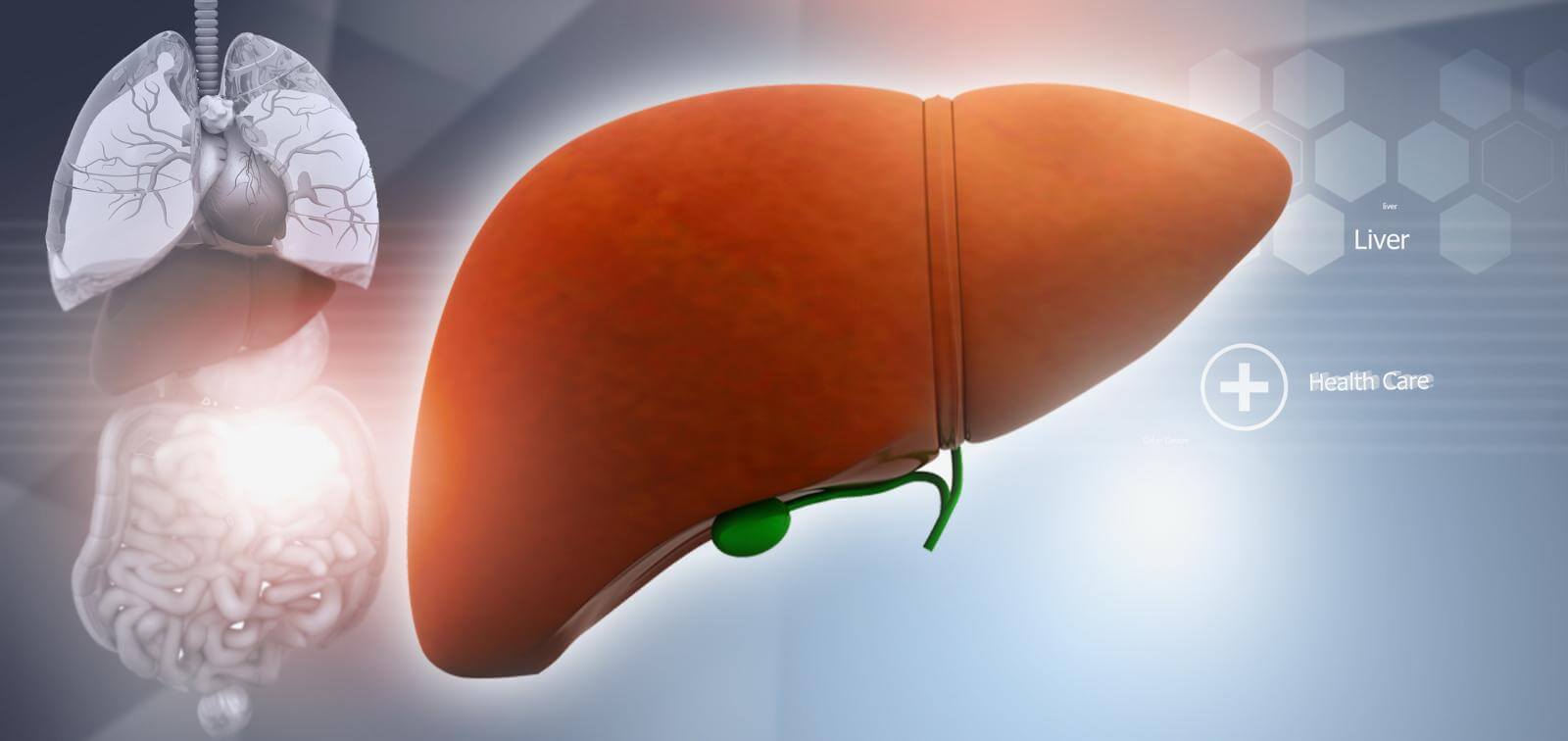 Early diagnosis of Liver Disease